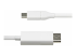 StarTech 6.6ft (2m) USB C to DisplayPort 1.2 Cable, Bidirectional - Front
