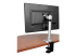 Startech Monitor Desk Mount - Back