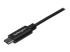 StarTech USB C to USB Cable - Close up